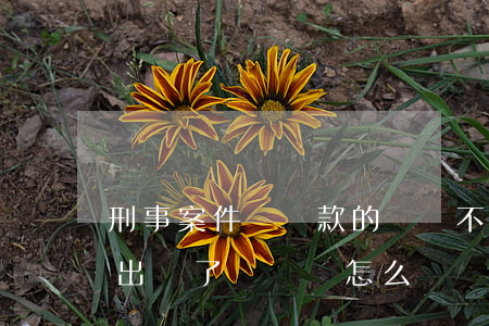 刑事案件賠償款的錢還不起怎么辦(刑事案件,出來了,沒錢賠怎么辦?)