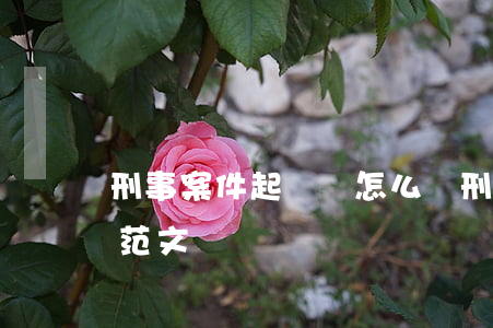 刑事案件起訴書怎么寫(刑事案件起訴書格式范文)