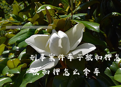 刑事案件车子被扣押怎么拿车(刑事案件车子被扣押怎么拿车)