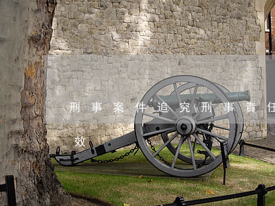刑事案件追究刑事責任時效(刑法處罰追究時效)