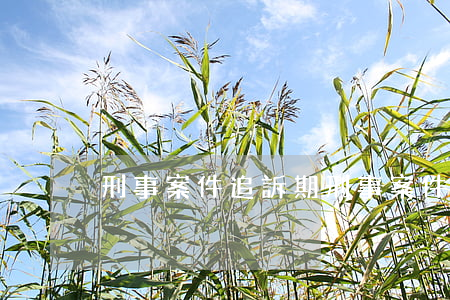 刑事案件追訴期(刑事案件追訴期限是多久)