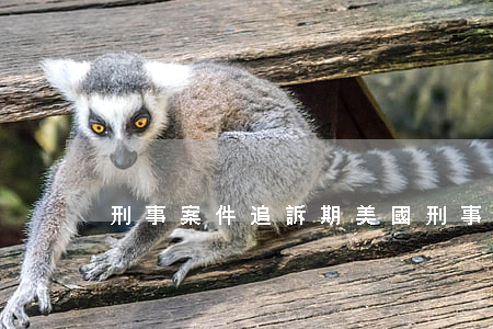 刑事案件追訴期(美國刑事案件追訴期)