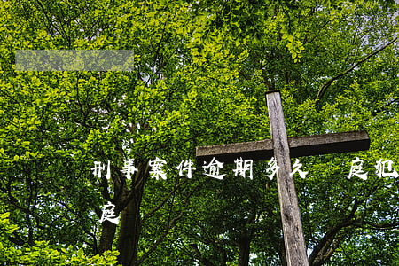 刑事案件逾期多久開庭(犯了刑事案件多久開庭)