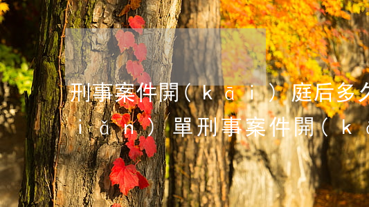 刑事案件開(kāi)庭后多久宣判(簡(jiǎn)單刑事案件開(kāi)庭后多久宣判)