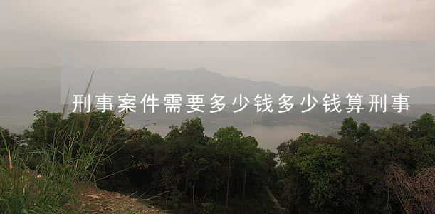 刑事案件需要多少钱(多少钱算刑事)