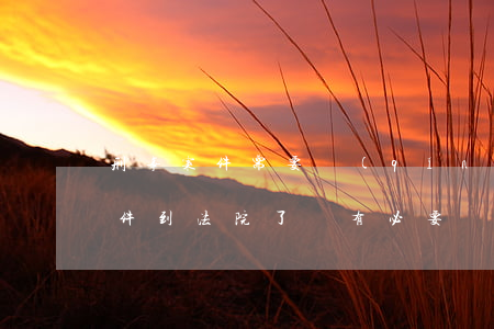 刑事案件需要請(qǐng)律師嗎(刑事案件到法院了還有必要請(qǐng)律師嗎)