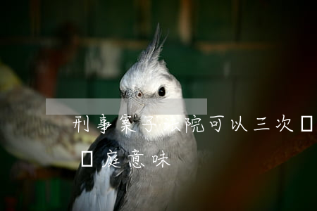 刑事案子法院可以三次開庭嗎(刑事案件三次開庭意味)