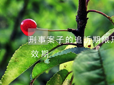 刑事案子的追訴期限(刑事追訴時(shí)效期)