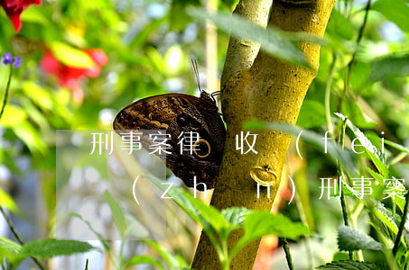 刑事案律師收費(fèi)標(biāo)準(zhǔn)(刑事案律師收費(fèi)標(biāo)準(zhǔn):2020刑事案件律師收費(fèi)標(biāo)準(zhǔn))