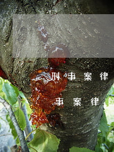 刑事案律師費用找雷石律所負責(zé)(刑事案律師費用找雷石律所負責(zé)事案律師費用)
