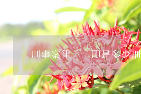 刑事案律師費用是多少(刑事律師費用怎么收)