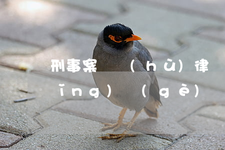 刑事案辯護(hù)律師一般多少錢(請(qǐng)個(gè)辯護(hù)律師多少錢辯護(hù)律師費(fèi)一般多少錢)