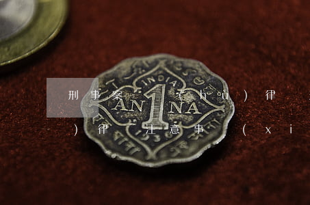 刑事案辯護(hù)律師(刑事案辯護(hù)律師注意事項(xiàng))