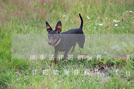 刑事法律援助案件會見手續(xù)(辦理法律援助案件程序規(guī)定)