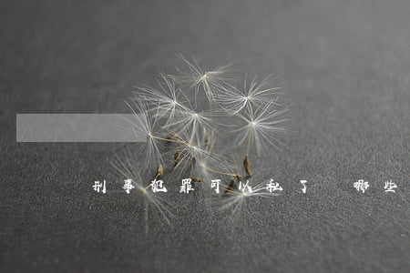 刑事犯罪可以私了嗎(哪些刑事案件可以私了)