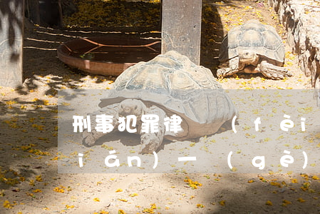 刑事犯罪律師費(fèi)最高多少錢(qián)(一個(gè)刑事案件律師費(fèi)多少)