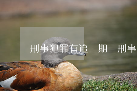 刑事犯罪有追訴期嗎(刑事犯罪的追訴期限)
