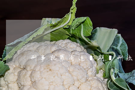 刑事犯罪有追訴期嗎(刑法有追訴期嗎)