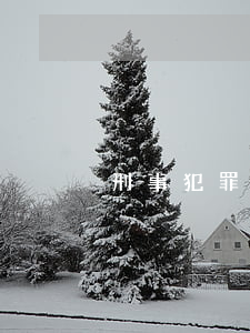 刑事犯罪查詢(犯罪案件查詢)