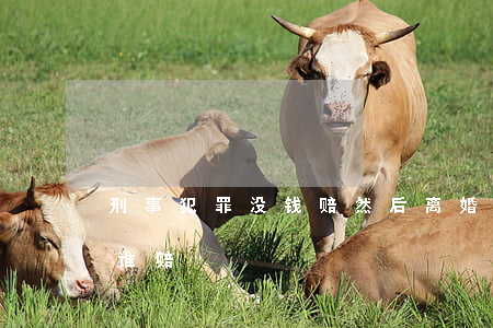 刑事犯罪没钱赔然后离婚(刑事案件坐牢了钱谁赔)