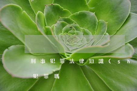 刑事犯罪法律知識(shí)盜竊他人(盜竊犯罪嗎)
