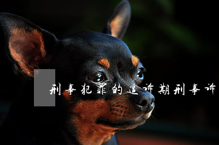 刑事犯罪的追诉期(刑事诉讼时效追诉期)