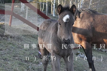 刑事犯罪與民事不屬于同一法律關(guān)系的認(rèn)定