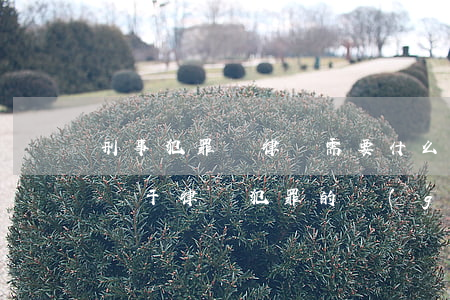 刑事犯罪請律師需要什么手續(xù)(刑法關于律師犯罪的規(guī)定)