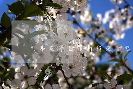 刑事犯罪違法所得是否包括債權(quán)