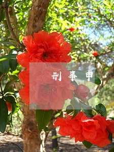 刑事申訴書怎樣寫才有力度(刑事申訴狀)