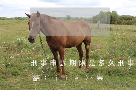 刑事申訴期限是多久(刑事申訴受理后多久出結(jié)果)