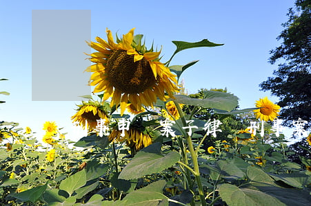刑事申訴案子律師(刑事案申訴的律師費多少錢)