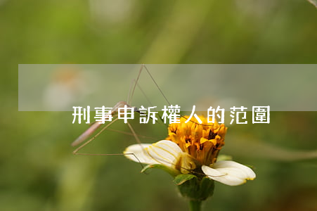 刑事申訴權人的范圍