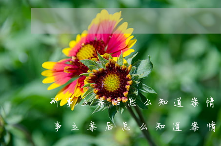 刑事立案后怎么知道案情進(jìn)度(刑事立案后怎么知道案情進(jìn)度)