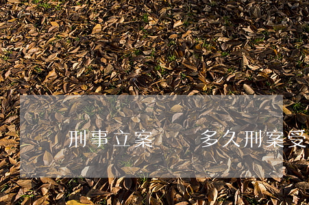 刑事立案時間多久(刑案受理到立案時間)
