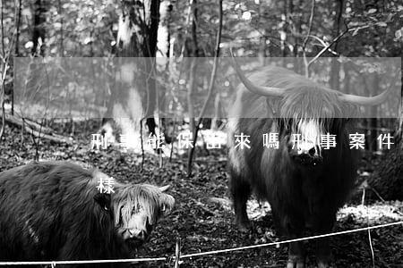 刑事能保出來嗎(刑事案件取保到期后會怎么樣)
