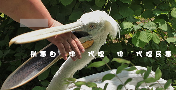 刑事自訴律師代理費(律師代理民事訴訟費)