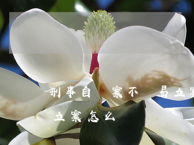 刑事自訴案不輕易立案(刑事自訴案件法院不立案怎么辦)