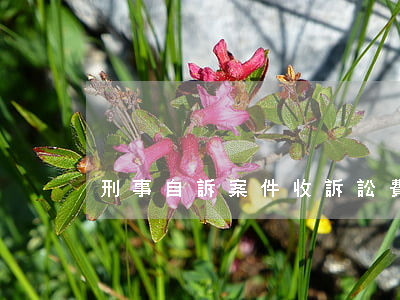 刑事自訴案件收訴訟費嗎