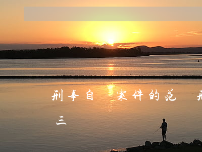 刑事自訴案件的范圍(刑事自訴案件的范圍 第三項)