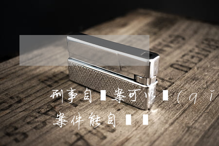 刑事自訴案可以請(qǐng)律師嗎(刑事案件能自訴嗎)