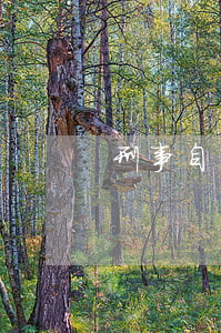 刑事自訴狀范文