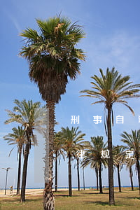 刑事自诉案件的条件(关于刑事自诉案件的法律规定)