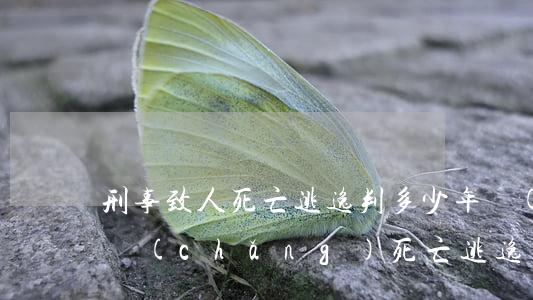刑事致人死亡逃逸判多少年(當(dāng)場(chǎng)死亡逃逸判多少年)
