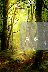 刑事處罰金罰多少