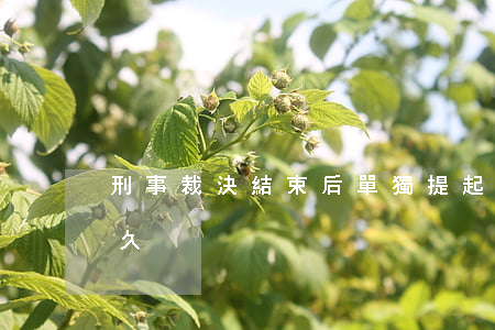 刑事裁決結束后,單獨提起民事訴訟時效是多久