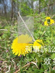 刑事訴訟一般需要多久(刑事的訴訟時(shí)效多久)