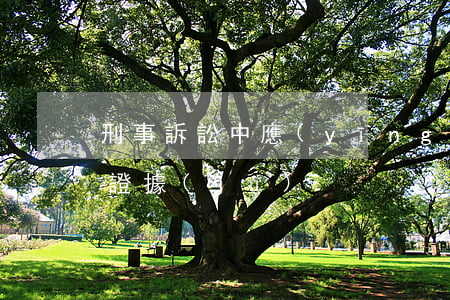刑事訴訟中應(yīng)該排除哪些言辭證據(jù)