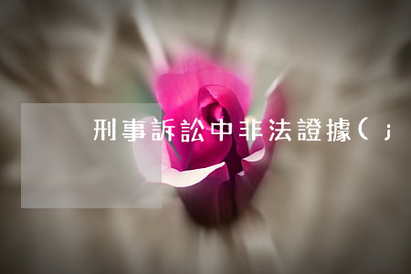 刑事訴訟中非法證據(jù)排除