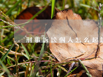 刑事訴訟個人怎么起訴(個人如何提起訴訟)